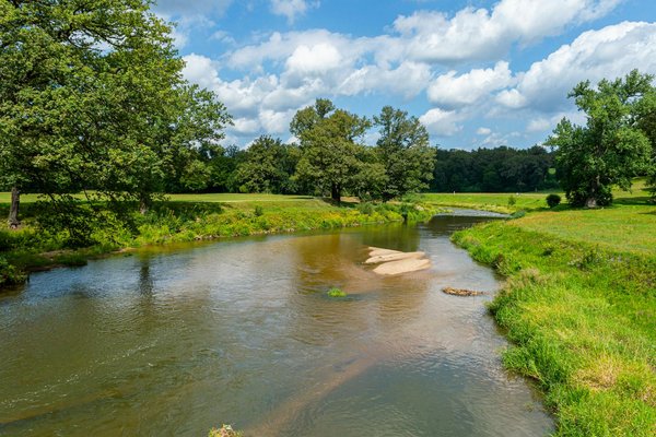 Compléments alimentaires arthrose : le pouvoir de la membrane d'œuf